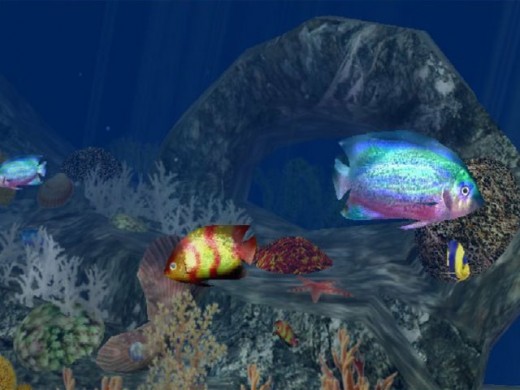 3D Aquatic Life Screensaver Fish